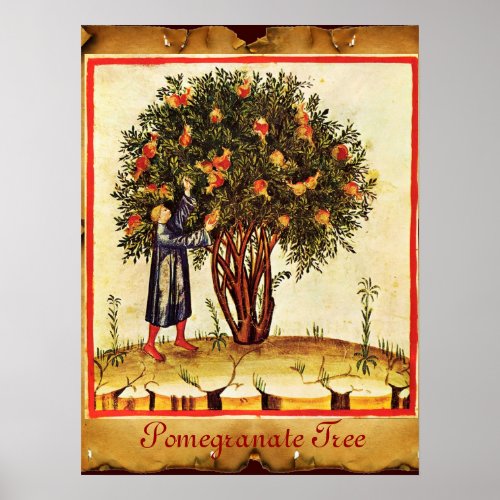 POMEGRANATE TREE ANTIQUE PARCHMENT POSTER