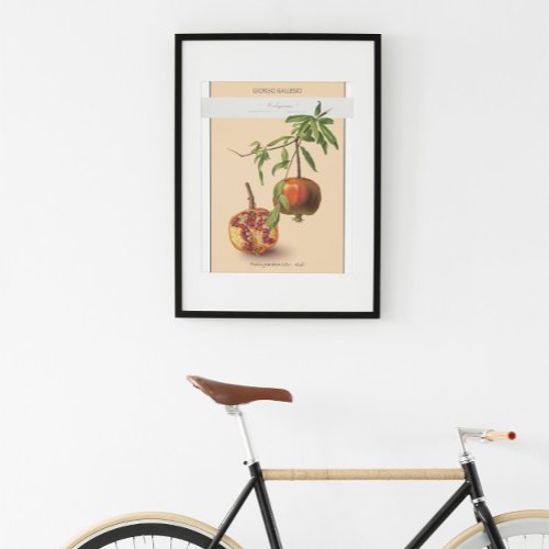 Pomegranate Vintage Botanical Illustration Poster