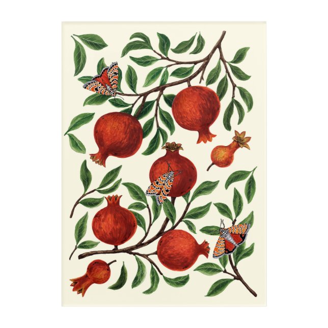 Pomegranates and Bella Moths on off white Acrylic Print (Front)