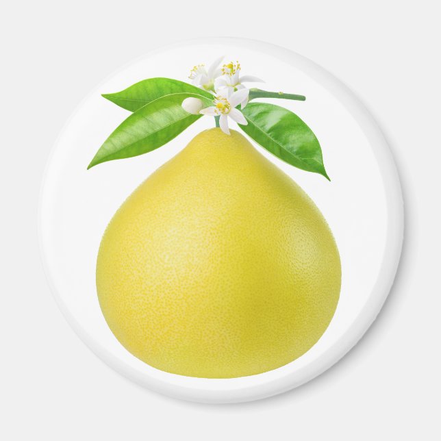 Pomelo on a branch magnet (Front)