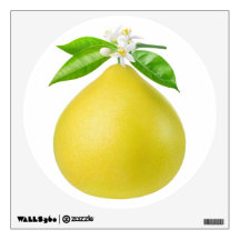 Pomelo on a branch