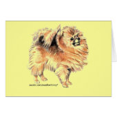 Pomeranian! (Front Horizontal)