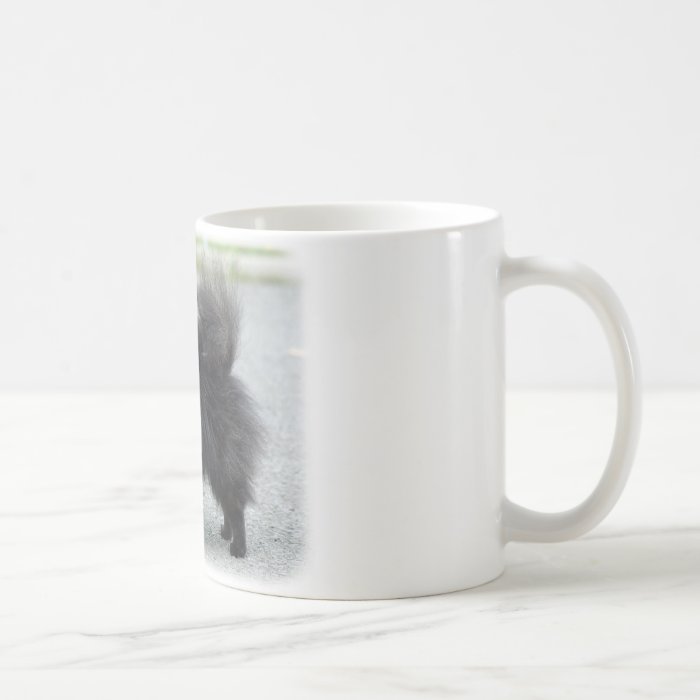 Pomeranian 9R042D 47 Mugs