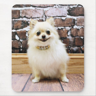 Pomeranian - Abby Vanity Collar Mouse Pad