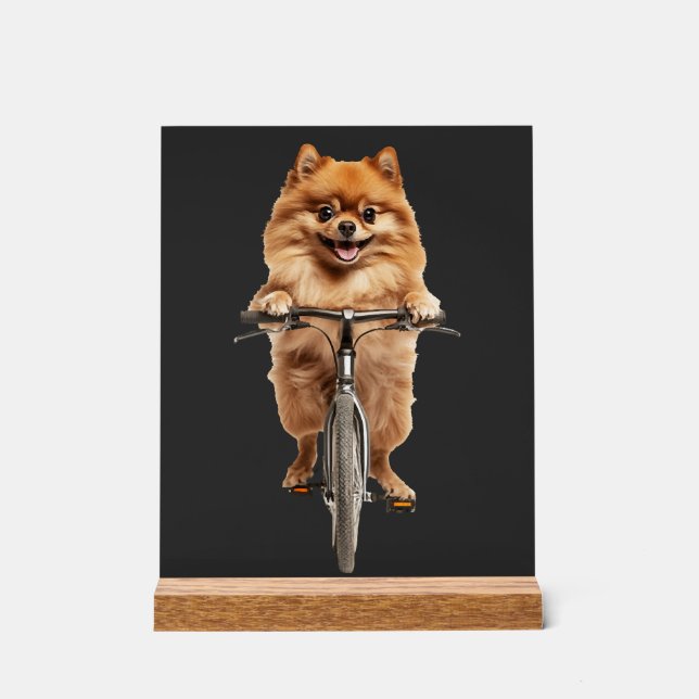Pomeranian Acrylic Sign (Front)