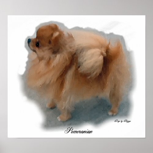 Pomeranian Art Prints