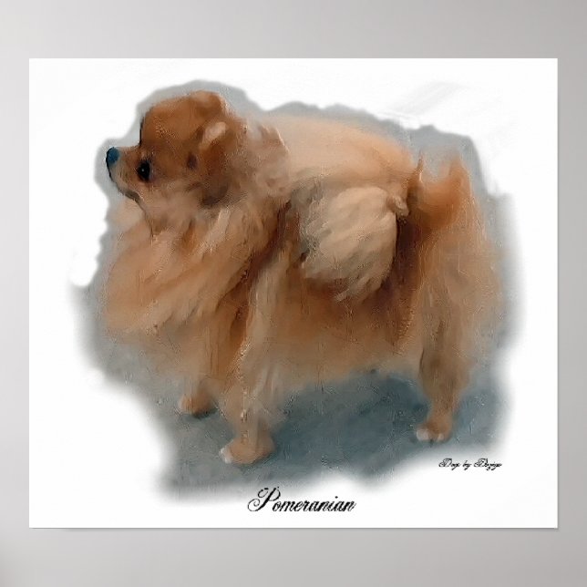 Pomeranian Art Prints (Front)