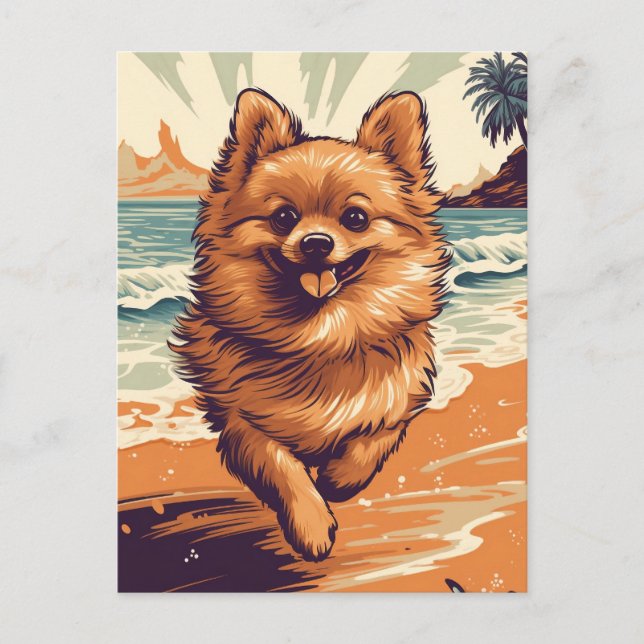 Pomeranian at the beach postcard (Front)