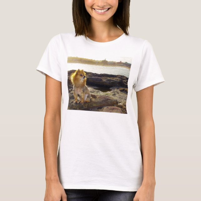 Pomeranian Beach T-Shirt (Front)