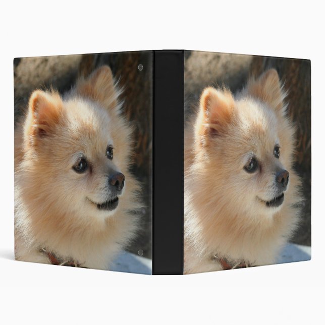 Pomeranian binder (Background)