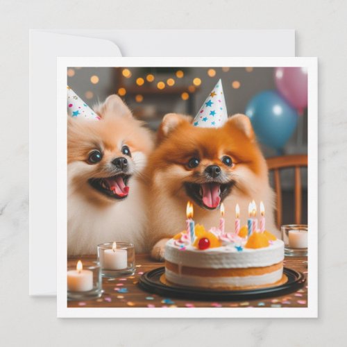 Pomeranian birthday card Pomeranian Pomeranian Invitation