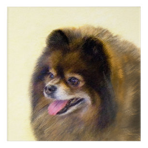 Pomeranian Black and Tan Painting Original Dog Art