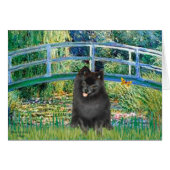 Pomeranian (black) - Bridge (Front Horizontal)