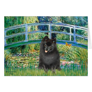 Pomeranian (black) - Bridge Cards