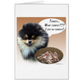 Pomeranian (blktan) Turkey (Front)