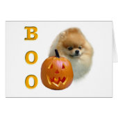 Pomeranian Boo (Front Horizontal)