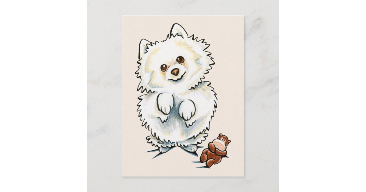 Pomeranian Boo Boo Postcard