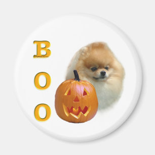 Pomeranian Boo Magnet