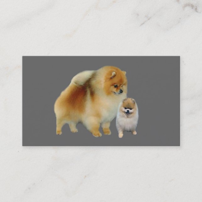 Pomeranian Breeder Business Card (Front)