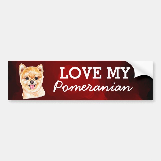 Pomeranian Bumper Sticker (Front)