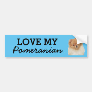 Pomeranian bumper sticker