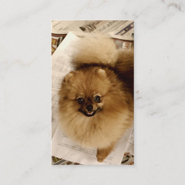 Pomeranian Business Cards (Front)