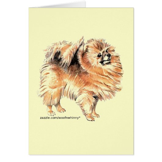Pomeranian! Cards (Front)