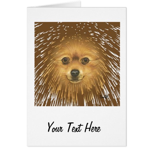 Pomeranian Cards (Front)