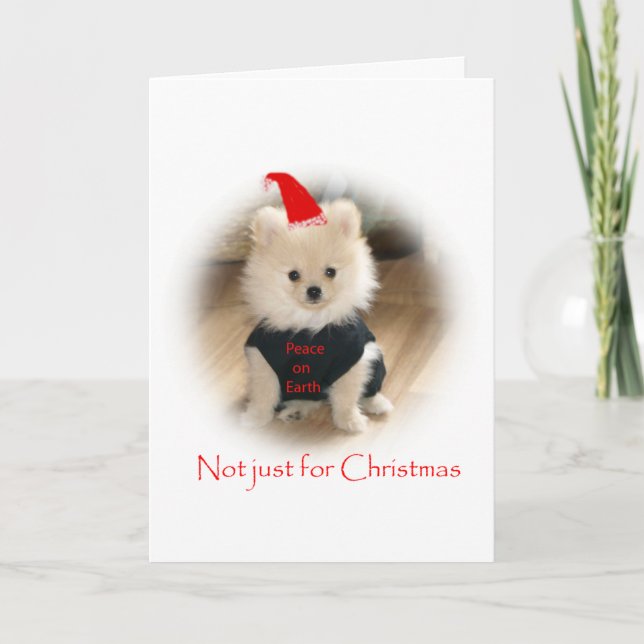 Pomeranian Christmas card (Front)