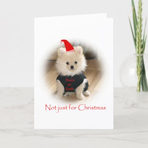 Pomeranian Christmas card