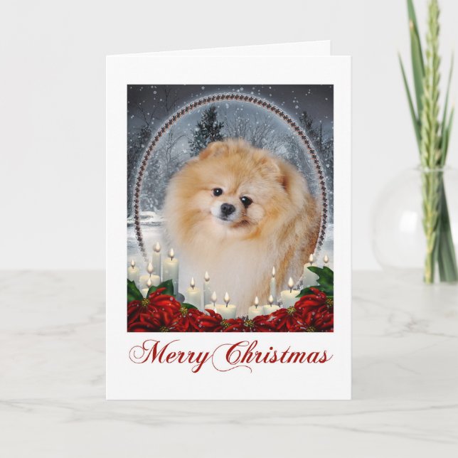 Pomeranian Christmas Card (Front)