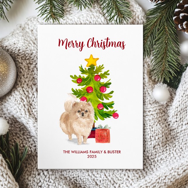 Pomeranian Christmas Card (Creator Uploaded)