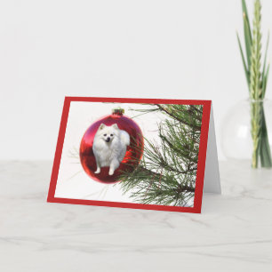Pomeranian  Christmas Card Red Ball