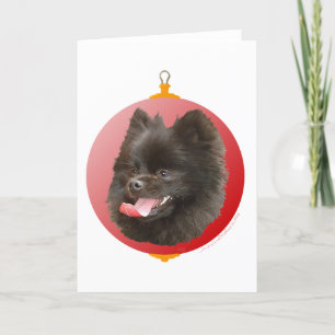 Pomeranian Christmas Holiday Card