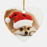 Pomeranian Christmas Ornament at Zazzle