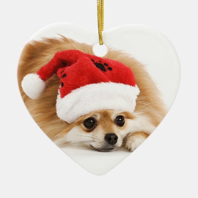 pomeranian christmas ornament