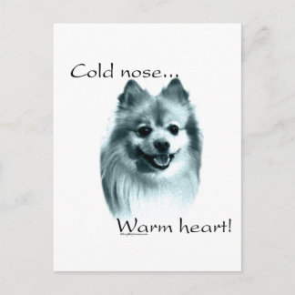 Pomeranian Cold Nose Warm Heart Postcard