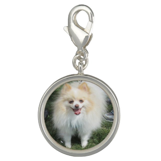 Pomeranian Custom Charm (Front)