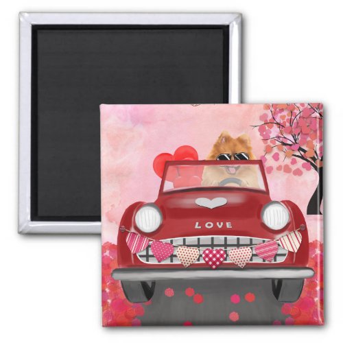 Pomeranian Dog Car with Hearts Valentines Magnet