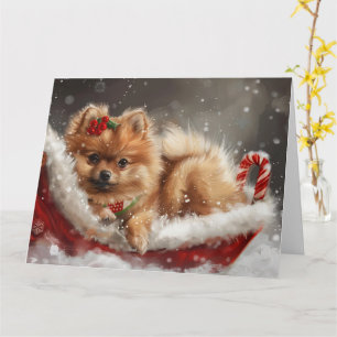 Pomeranian Dog Christmas Festive Card