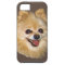 Pomeranian Dog Customizable