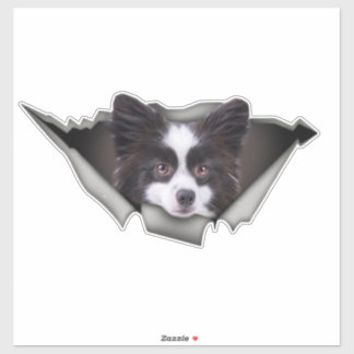 Pomeranian Dog decal Dog stickers Pomeranian