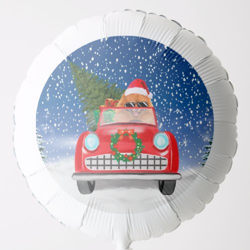Pomeranian Dog Driving Car In Snow Christmas  Balloon