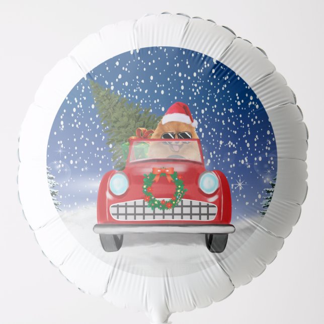 Pomeranian Dog Driving Car In Snow Christmas  Balloon (Front)