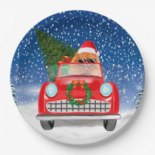 Pomeranian Dog Driving Car In Snow Christmas Paper Plates