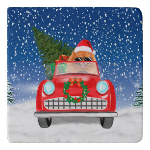 Pomeranian Dog Driving Car In Snow Christmas  Trivet