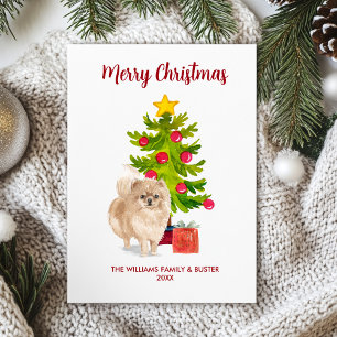 Pomeranian Dog Family Christmas Holiday Card