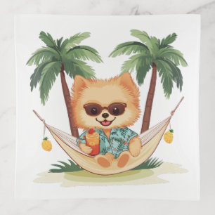 Pomeranian Dog In A Hammock Hawaiian Shirt Trinket Tray