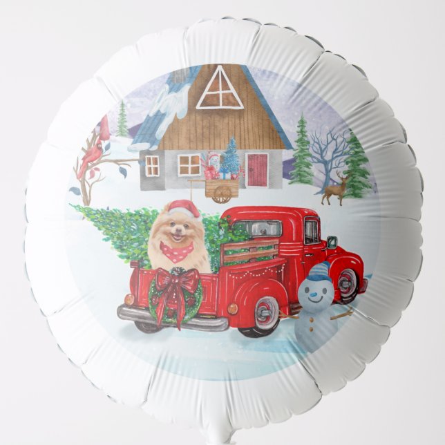 Pomeranian Dog In Christmas Delivery Truck Snow Balloon (Front)