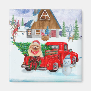 Pomeranian Dog In Christmas Delivery Truck Snow Magnet